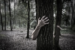 ¿POR QUÉ SENTIMOS MIEDO?