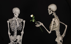 FILOFOBIA, EL MIEDO A SENTIR AMOR