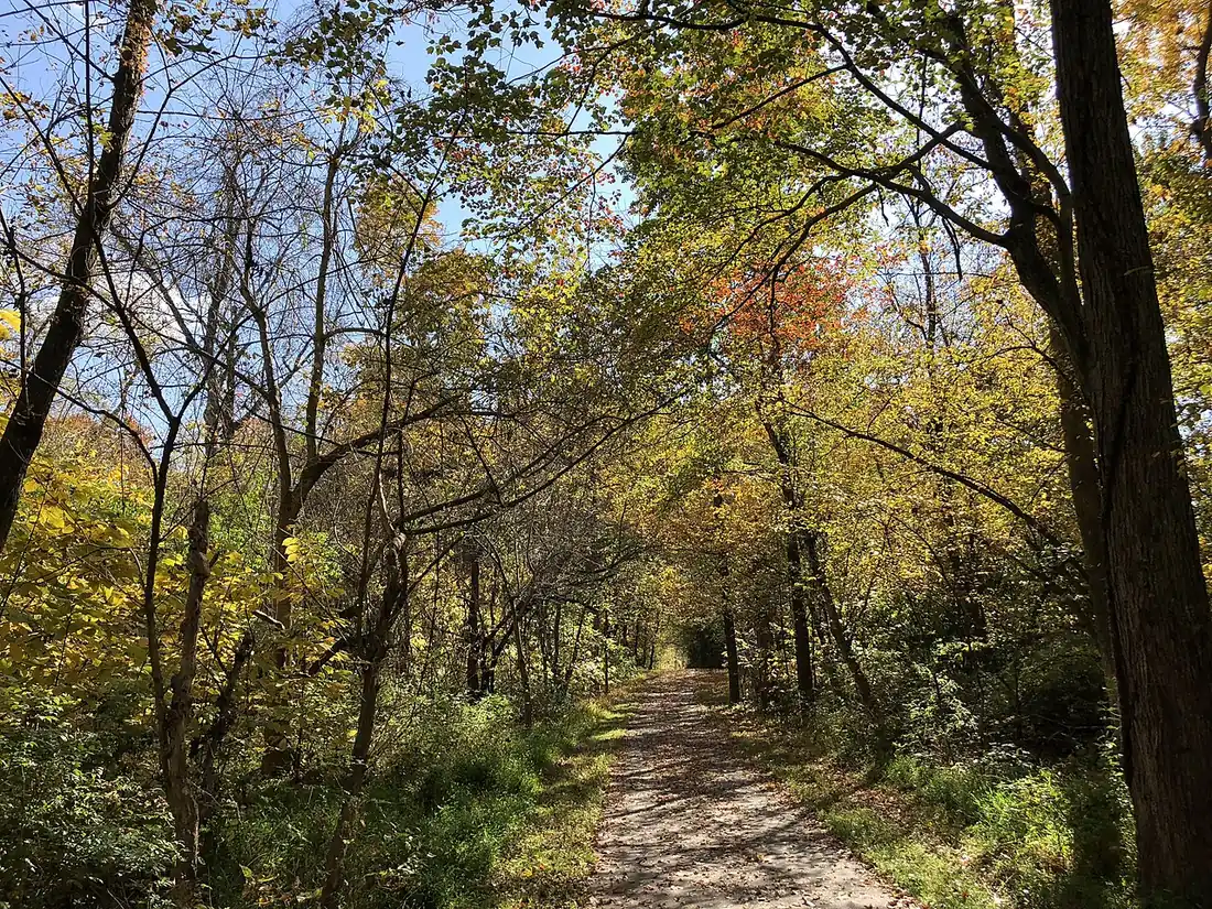 Sendero entre árboles en otoño: caminar ayuda a aliviar la astenia otoñal